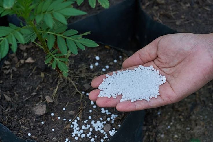 Nitrogen-Based Fertilizer